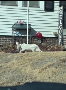 Img 3586